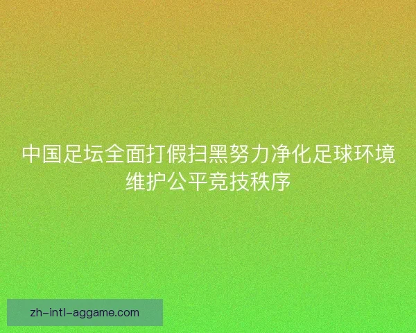 中国足坛全面打假扫黑努力净化足球环境维护公平竞技秩序